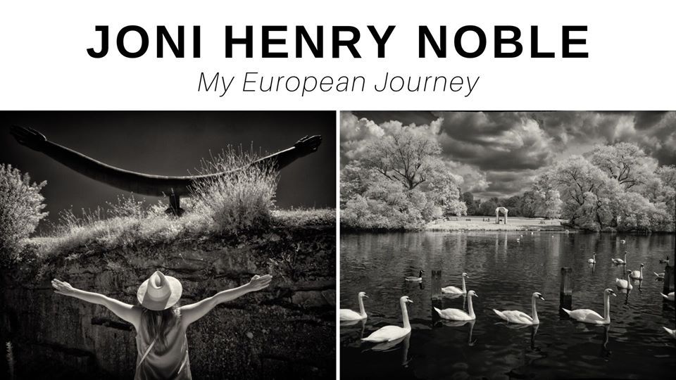My European Journey by Joni Henry Noble